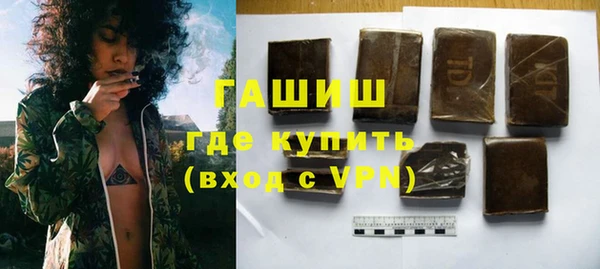 прущие грибы Лабытнанги