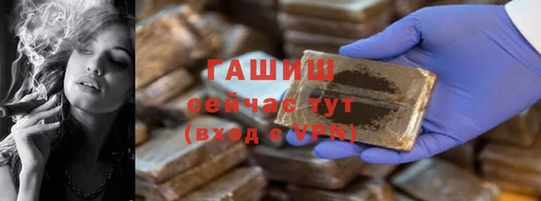 прущие грибы Лабытнанги