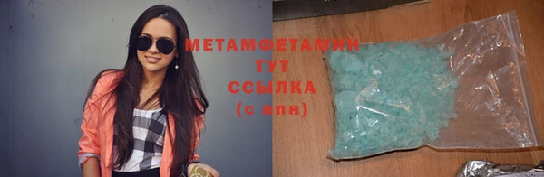 прущие грибы Лабытнанги