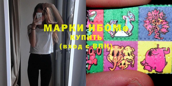 прущие грибы Лабытнанги
