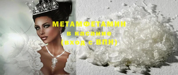 прущие грибы Лабытнанги