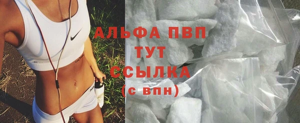 прущие грибы Лабытнанги