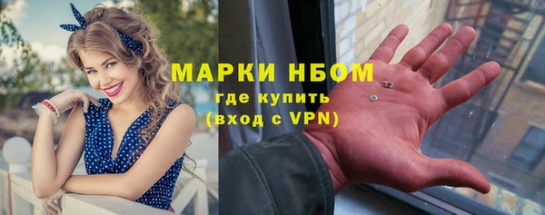 прущие грибы Лабытнанги