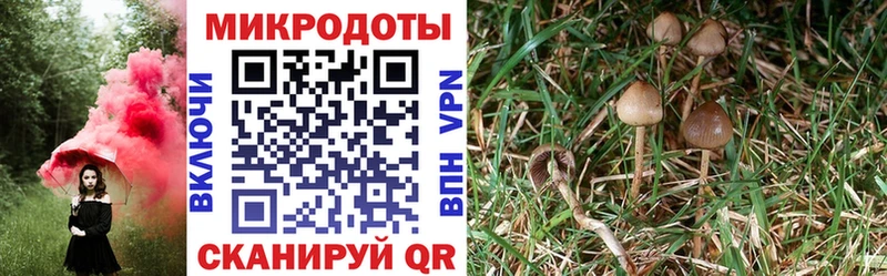 даркнет сайт  Горячеводский  Галлюциногенные грибы Magic Shrooms 